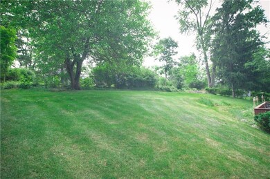 Beautiful backyard