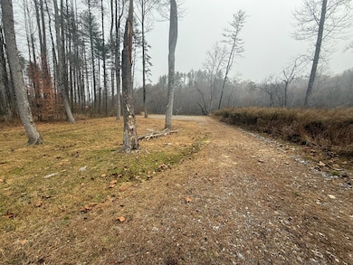 0 Rushing Water Trail unit 154191, Hayesville, NC 28904 - photo 7