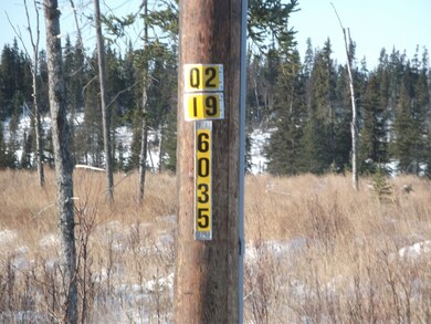 Nearest Electric Pole
