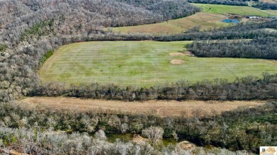120 AC Milltown Rd, Fairplay, KY 42728 - photo 4