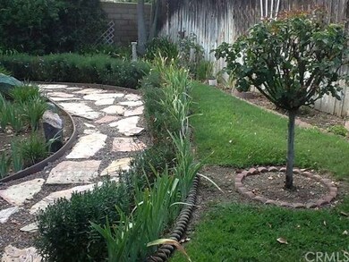 Backyard Garden