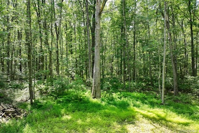 Lot 69 Cushetunk Dr, Cochecton, NY 12726 - photo 7
