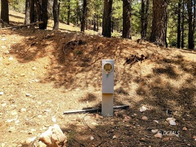 Power Pedestal