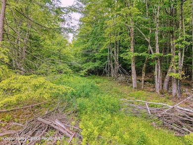 Tbd Boulder Brook Rd Lot B13, Windham, NY 12496 - photo 6