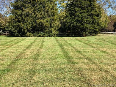 back yard