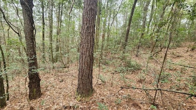 unlisted-address, Eight Mile, AL 36613 - photo 5