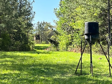 0 Judydahl Rd unit 11616615, Woodville, MS 39669 - photo 2