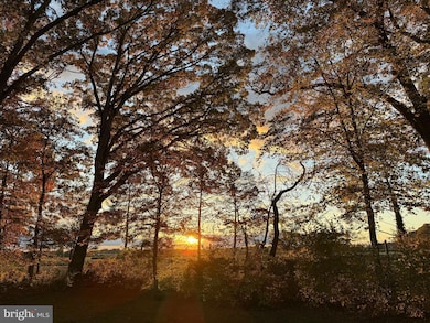 3 Beechtree Ln, Plainsboro, NJ 08536 - photo 5