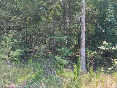 0 5 49 Acres On Meadow Creek Dr, Harrison, AR 72601 - photo 7