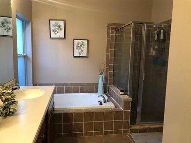 10121 Coldwater Loop, Land O Lakes, FL 34638 - photo 6