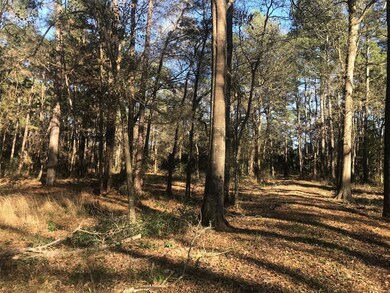 0000 Roberts Cemetery Rd, Hockley, TX 77447 - photo 3