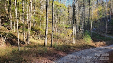 000 Cabin Hill Rd, Green Mountain, NC 28740 - photo 2