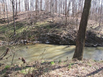 0 Holman Mill Rd unit 91539, 8, Newlin, NC 27349 - photo 2