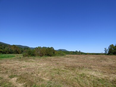 0 Chamberlain Rd unit 1236036, La Fayette, GA 30728 - photo 3