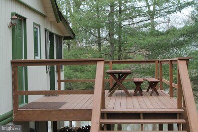 10389 River Rd, Rixeyville, VA 22737 - photo 3