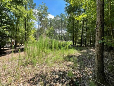 250 and 500 Cove Wood Dr, Denton, NC 27239 - photo 3