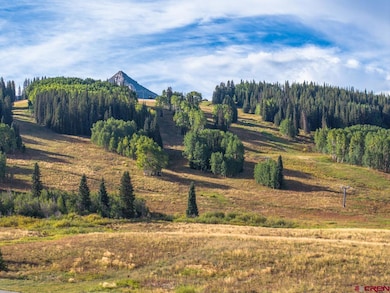 8 Appaloosa Rd, Crested Butte, CO 81225 - photo 3