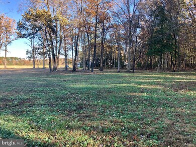 30849 Trails End, Dagsboro, DE 19939 - photo 7