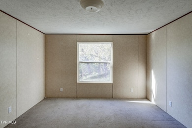 1607 Bristol Caverns Hwy, Bristol, TN 37620 - photo 6