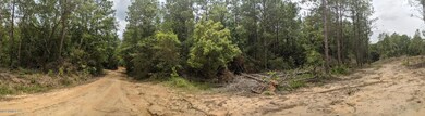 PXL_20230613_181339717.PHOTOSPHERE