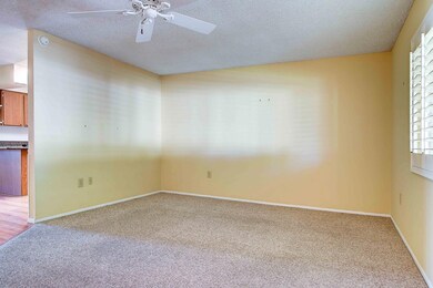 10415 W Desert Forest Circle-2