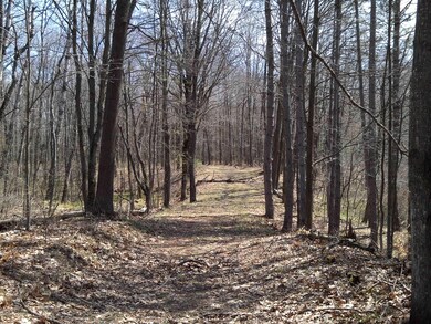 1 W Baseline Rd, White Cloud, MI 49349 - photo 3