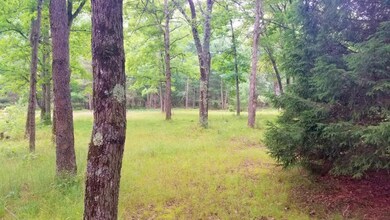 2502 W 14 Mile Rd, Bitely, MI 49309 - photo 7