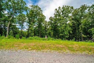 0 Ridge St unit 7640123, Morganton, GA 30560 - photo 2