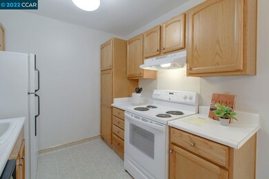 1409 Marchbanks Dr unit 1, Walnut Creek, CA 94598 - photo 6