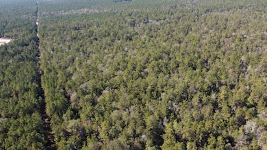 TBD Joe Lorenz Rd, Singer, LA 70660 - photo 2