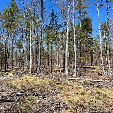 00 Foxtrot Lot 20 Dr unit 20, Farmington, NH 03835 - photo 7