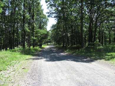 171 Evergreen Ln, Catawissa, PA 17820 - photo 2