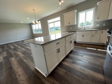 All photos of previously finished home of same floor plan -Lots of cabinet space includes a pull out trash.