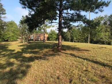 417 Vance Rd, Tarrytown, GA 30470 - photo 6