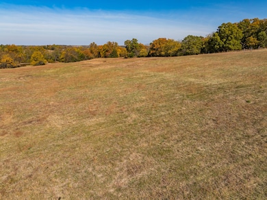 DJI_20241023125945_0047_D