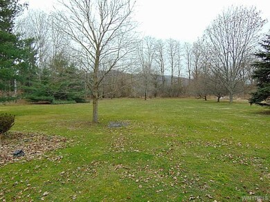 Backyard.