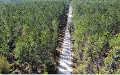 TBD NE 22nd Ln, Hawthorne, FL 32640 - photo 3