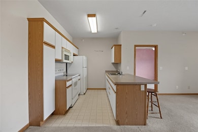 250 Cimarron Dr unit 309, Hiawatha, IA 52233 - photo 5