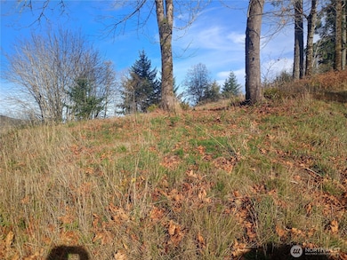 167 Wagner Rd, Kelso, WA 98626 - photo 3