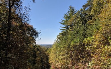 Additional View