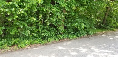 0 Alma Rd unit 72513381, Millis, MA 02054 - photo 4