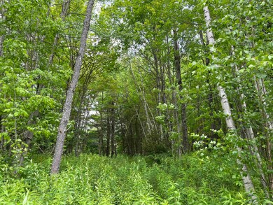 00 Guyette Rd, Lowell, VT 05847 - photo 6