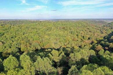 1285 Nelson Rd, Jefferson Township, OH 45648 - photo 3