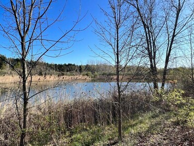 8249 Parcel A M-139, Berrien Springs, MI 49103 - photo 3