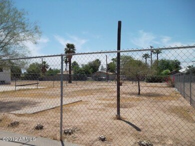Lot 5