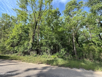 Nhn Maple Dr, Lucedale, MS 39452 - photo 3