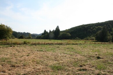 Pasture