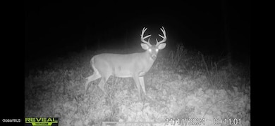 168 George Peasley Rd, Pharsalia, NY 13844 - photo 6