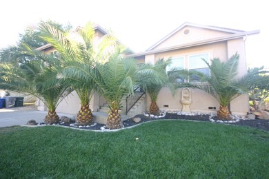 Side view of front and palm trees