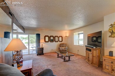 Living room featuring a textured ceiling and light colored carpet